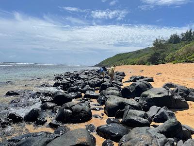 Sandee - Larsen's Beach