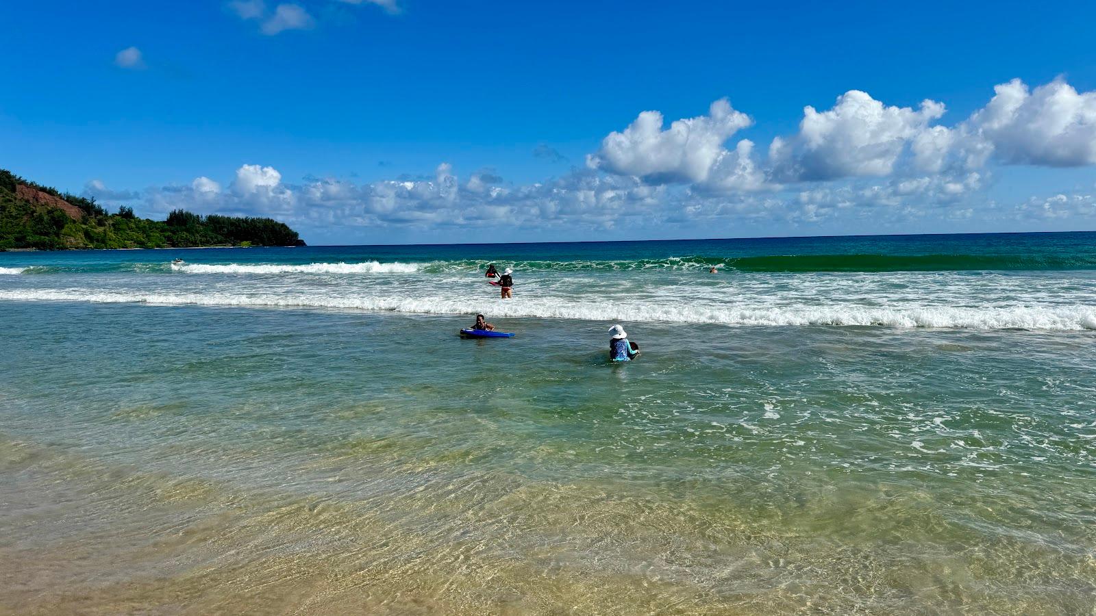 Sandee - Waioli Beach Park