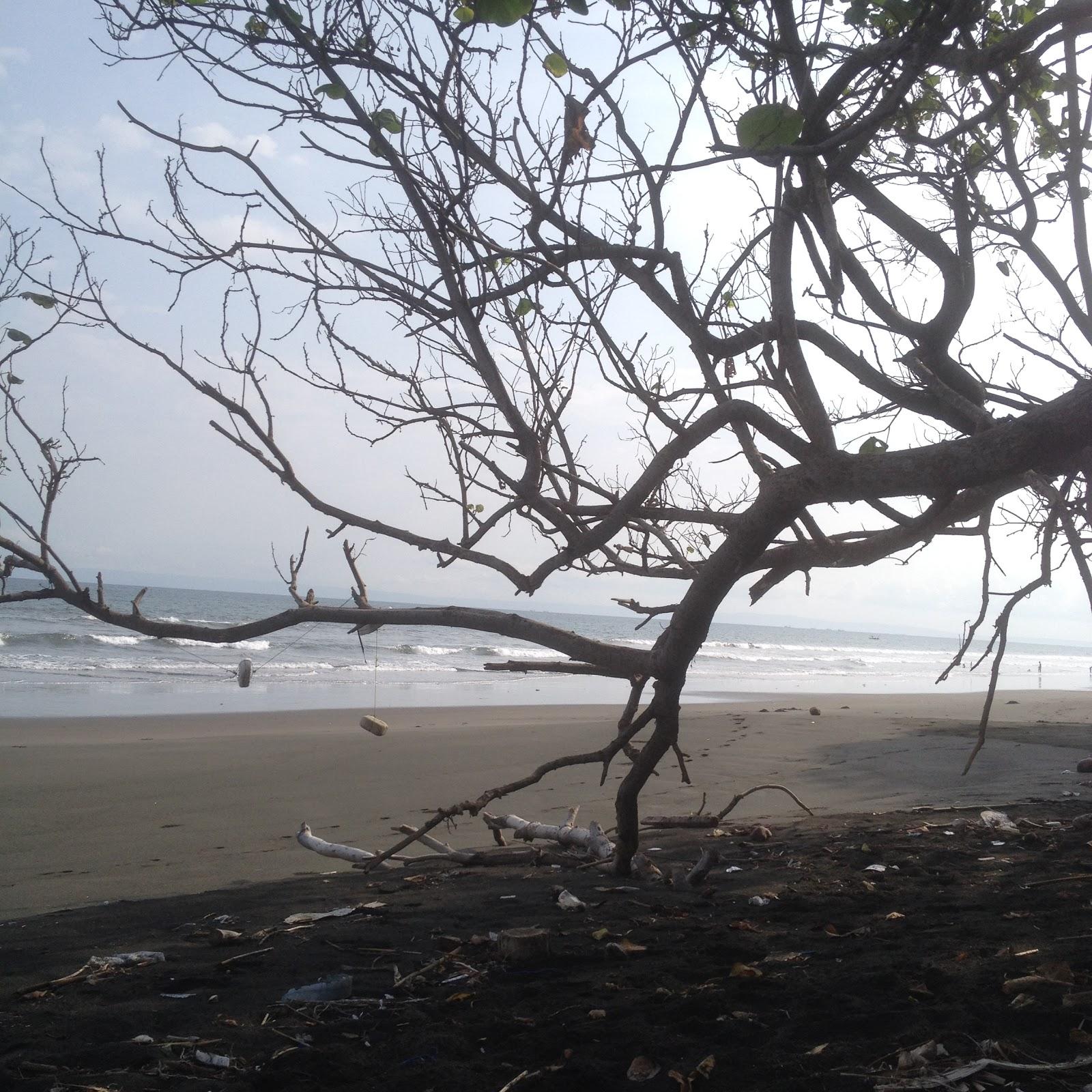 Sandee - Yeh Kuning Beach