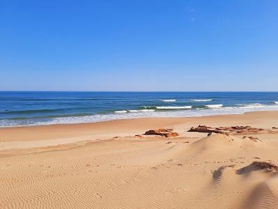 Sandee - Oceania Del Polonio Beach