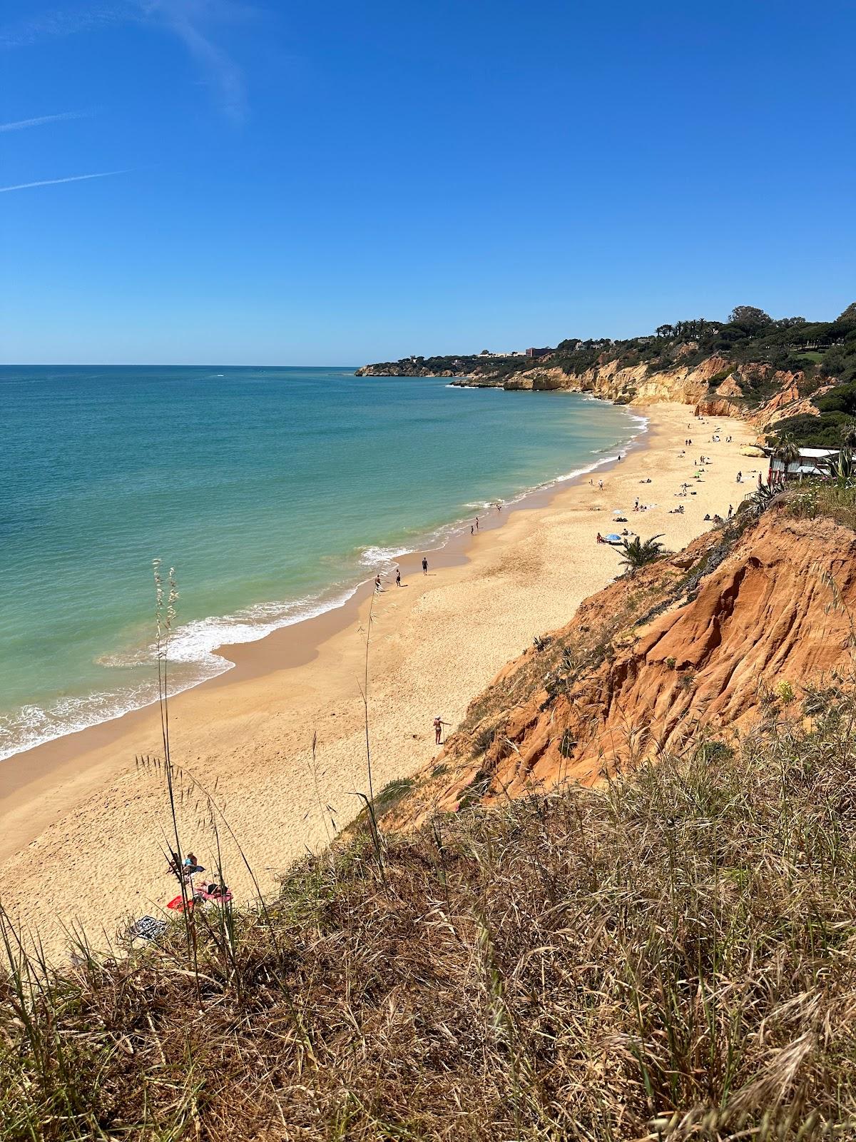 Sandee - Praia Da Ponta Pequena