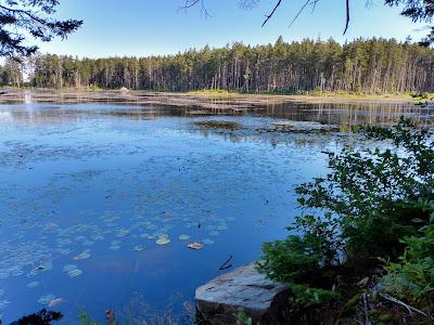 Sandee - Martin Point Trail