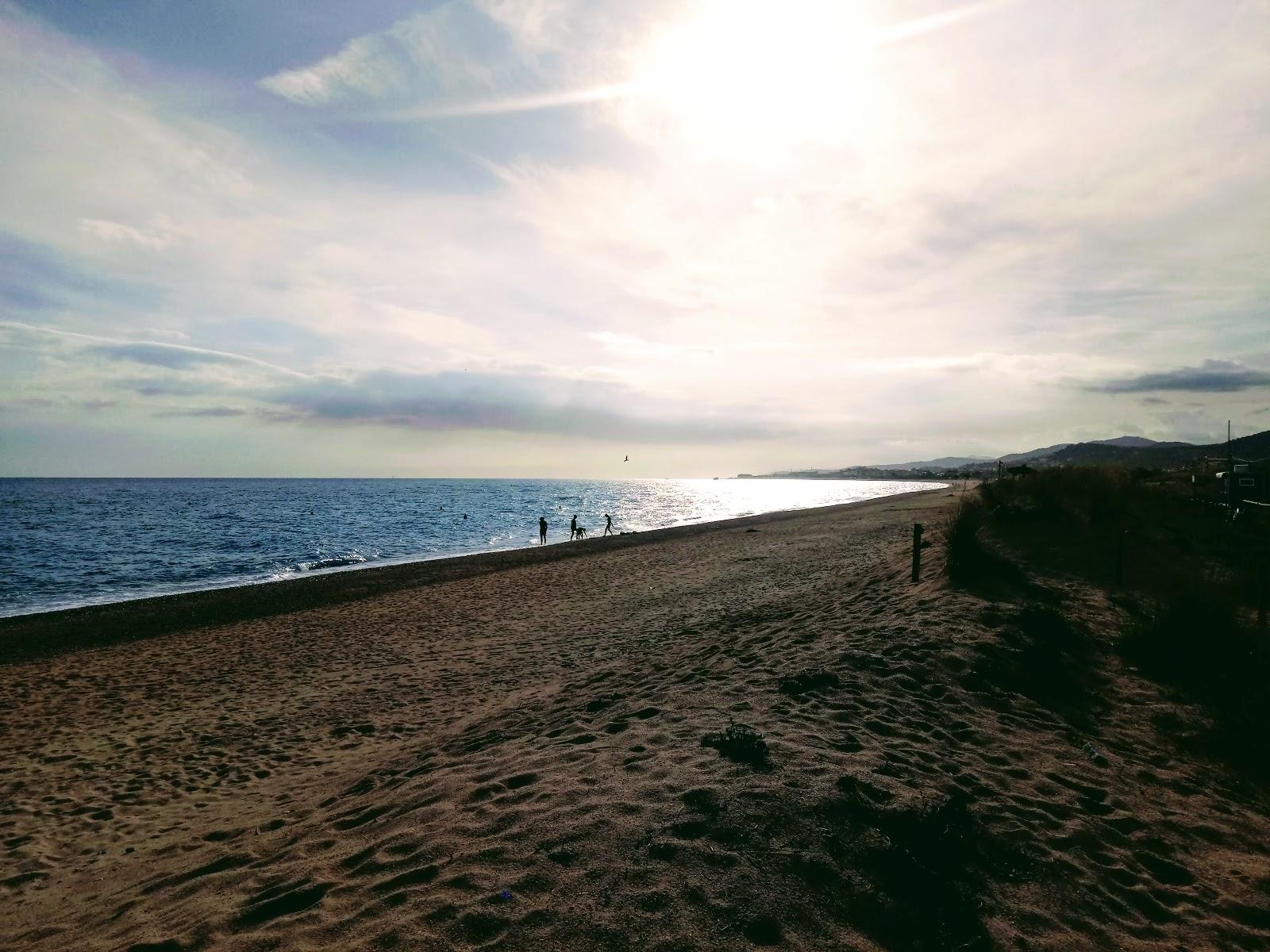 Sandee - Playa De La Punta De La Tordera