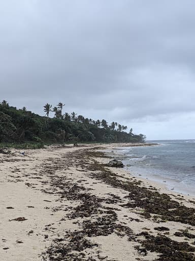 Sandee Oholei Beach Photo