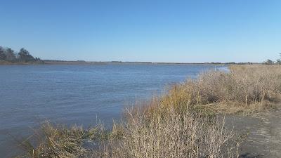 Sandee - Beach Plum Island