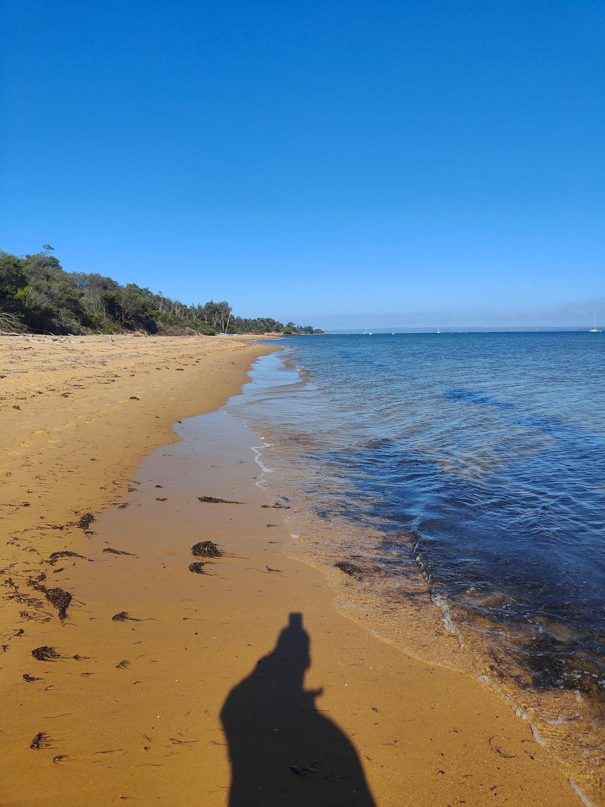 Sandee Silverleaves Beach Photo