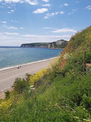 Sandee - Seaton Beach