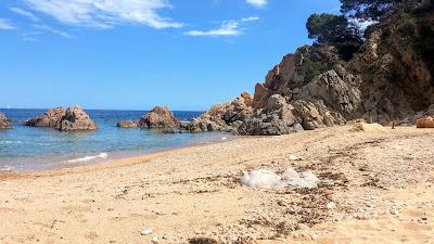 Sandee - Playa De La Corcollada