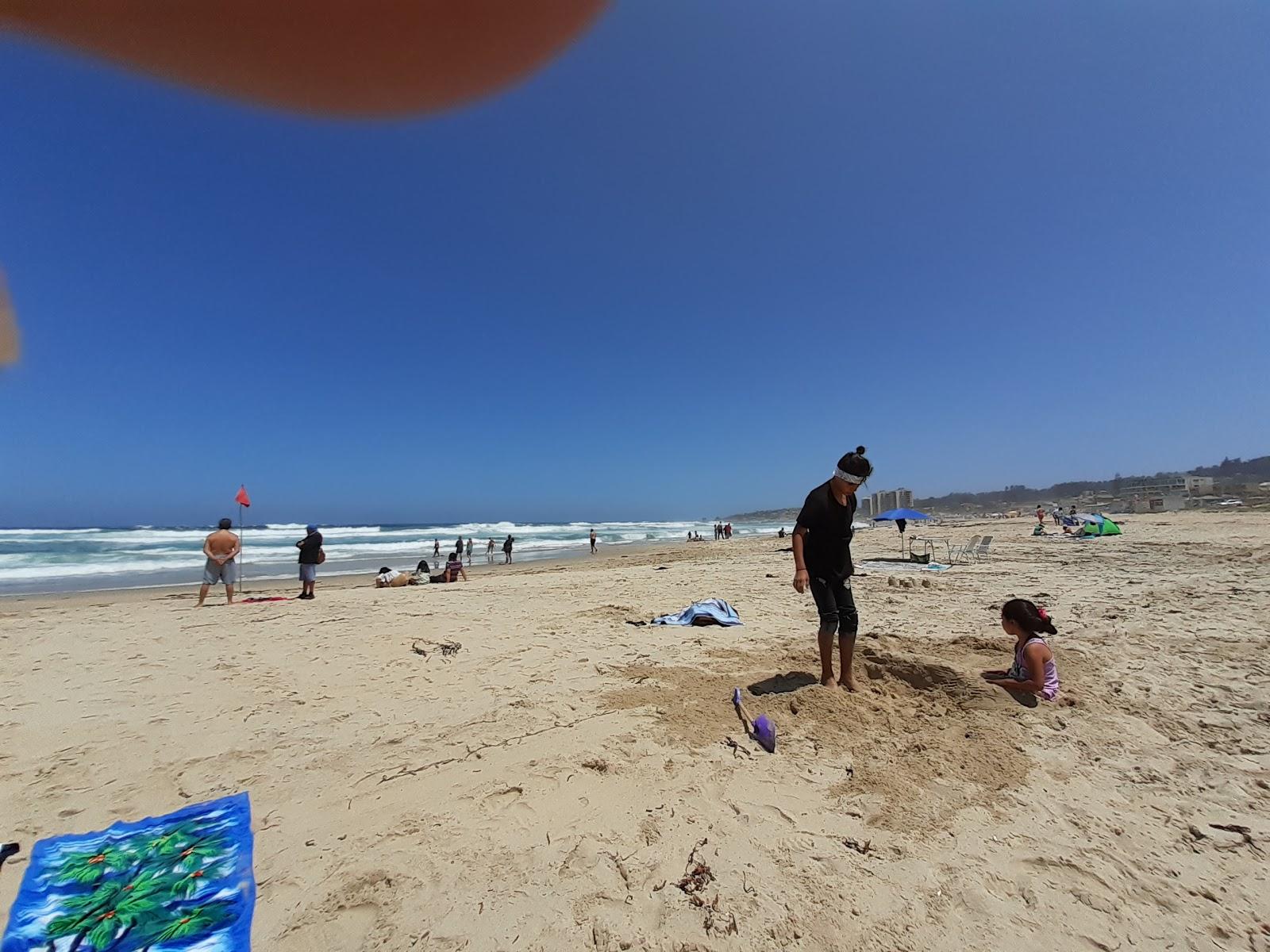 Sandee Playa De La Chepica