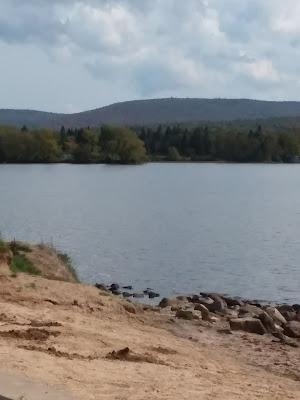 Sandee - Chazy Lake Beach