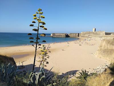 Sandee - Praia Da Torre