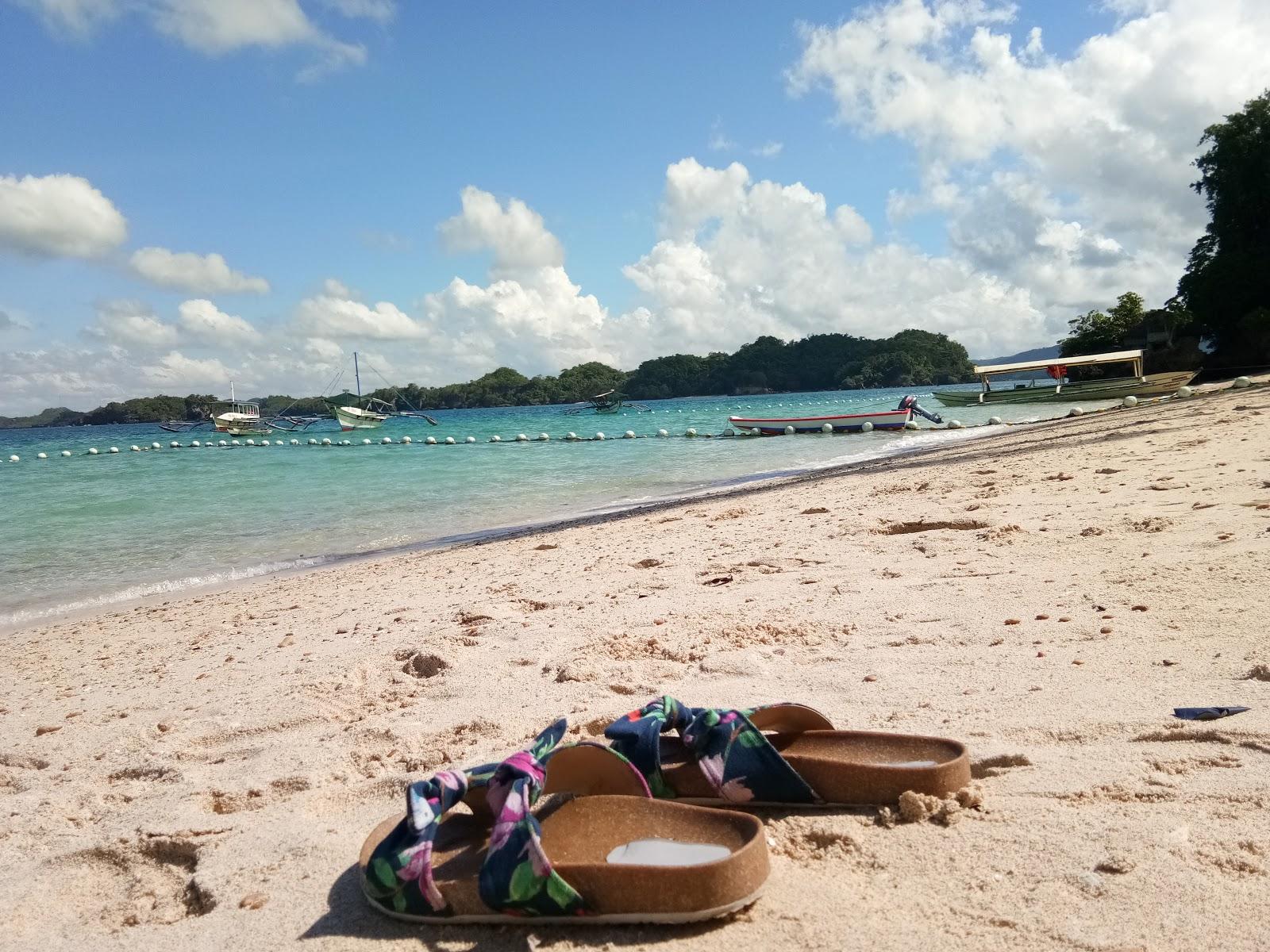 Sandee Alubihod Resort
