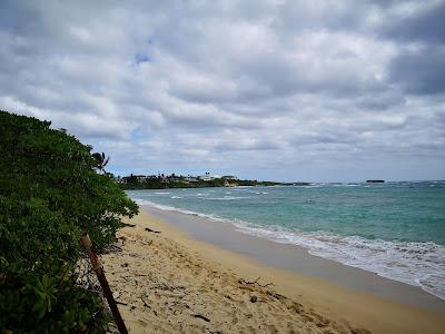 Sandee - Laniloa Beach