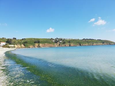 Sandee - Plage De St Laurent