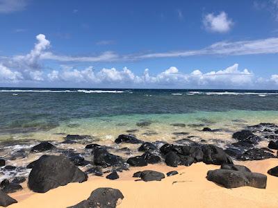 Sandee - Larsen's Beach