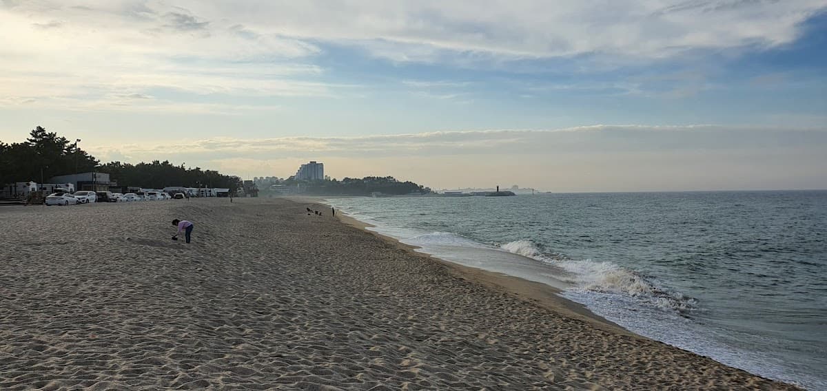 Sandee - Yeongok Beach