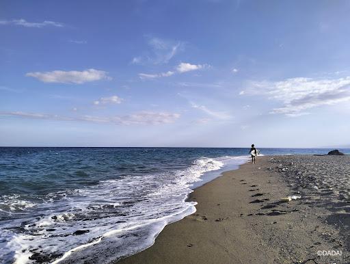 Sandee Lawis Point, Argao Photo