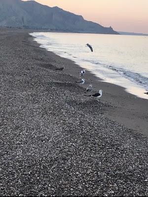 Sandee - Plage De Sidi Driss