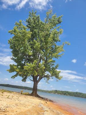 Sandee - Hibernia Campground - Area 2