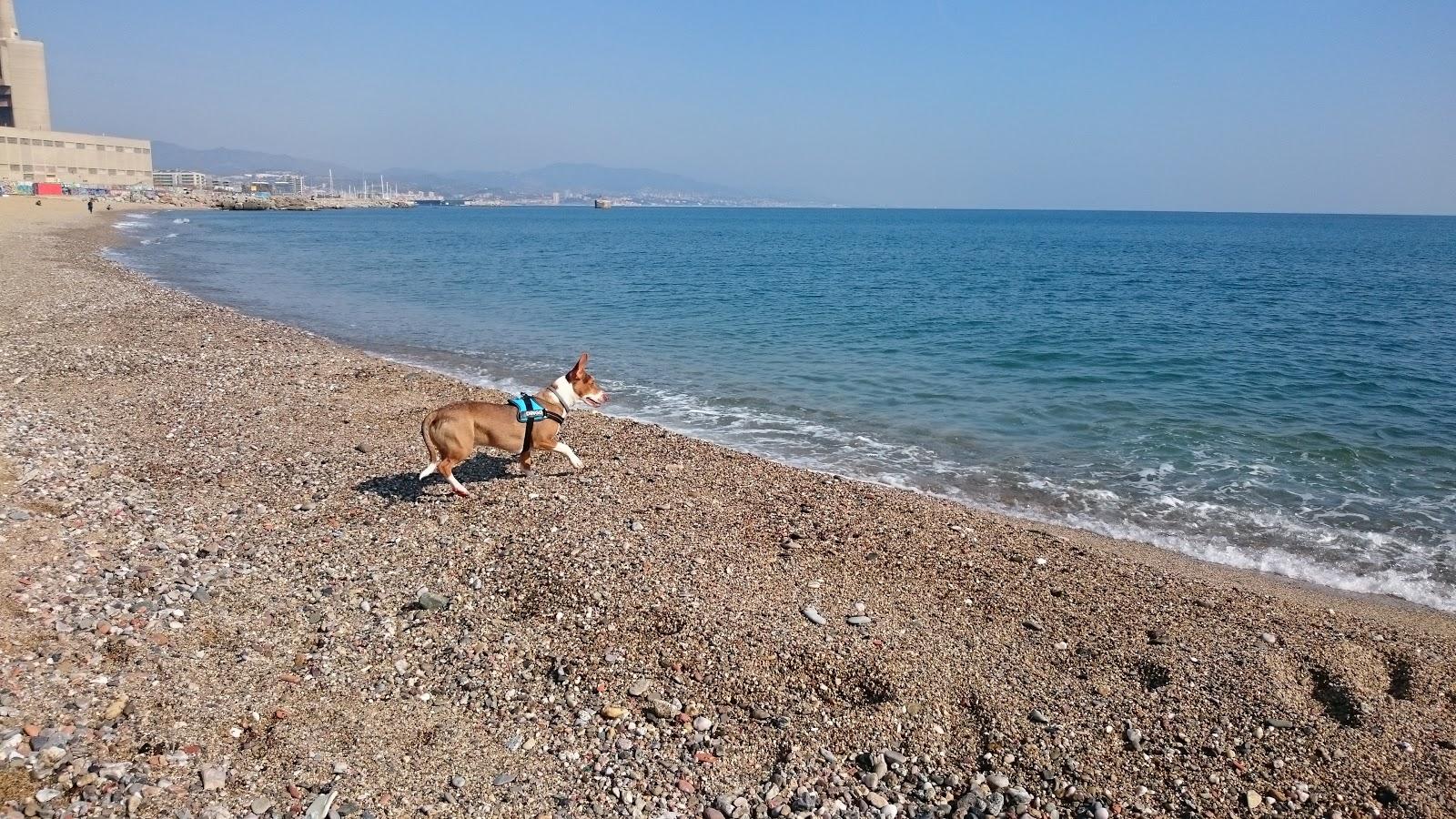 Sandee - Platja Del Litoral / Parc Del Litoral