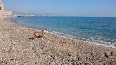 Sandee - Platja Del Litoral / Parc Del Litoral