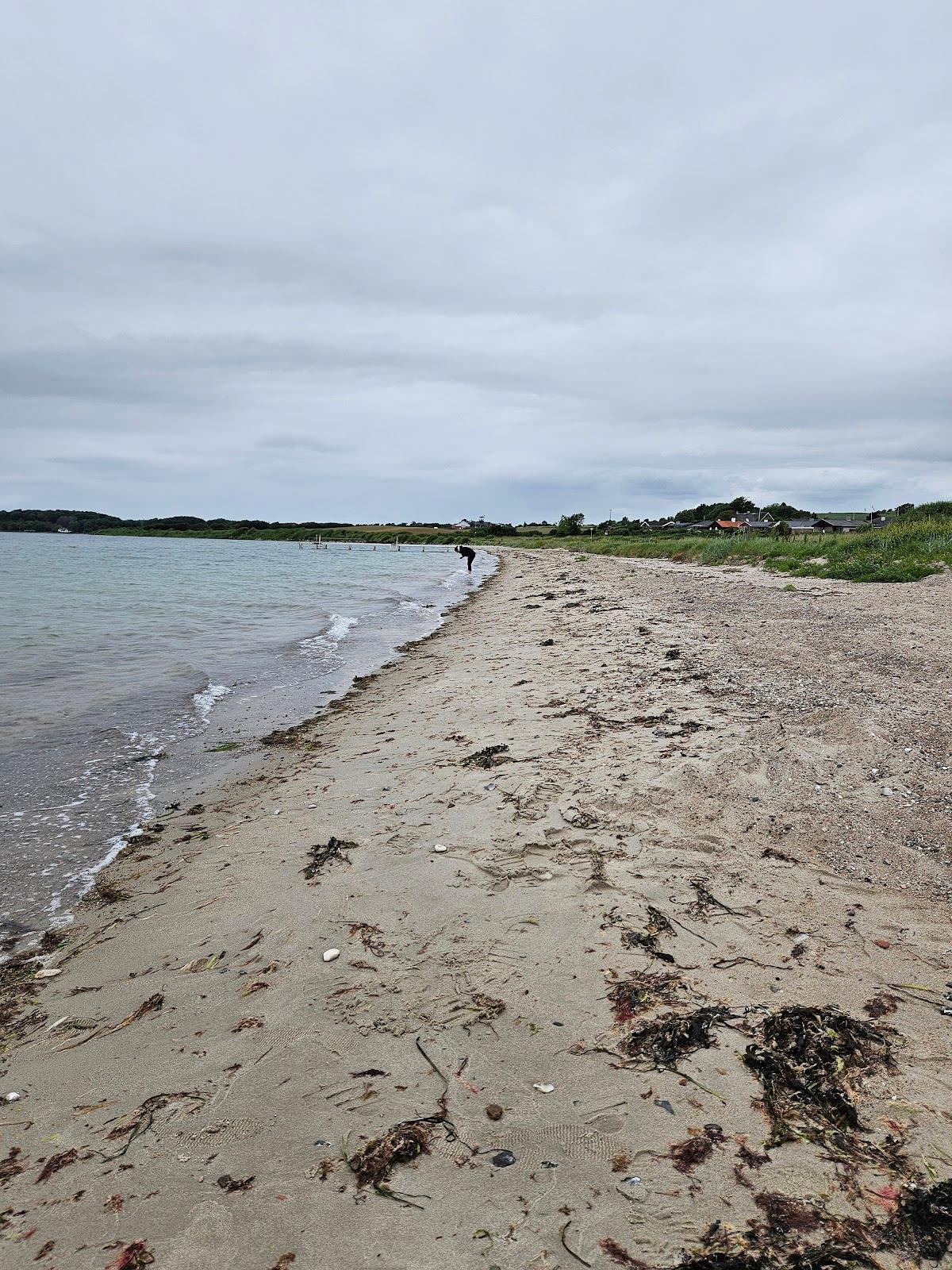 Sandee Dyreborg Strand - Knold, Drejet