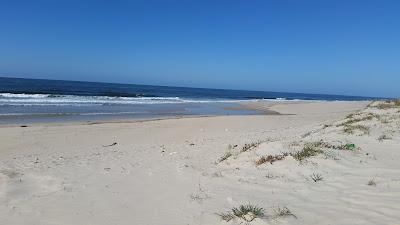 Sandee - Praia Dos Almadoiros