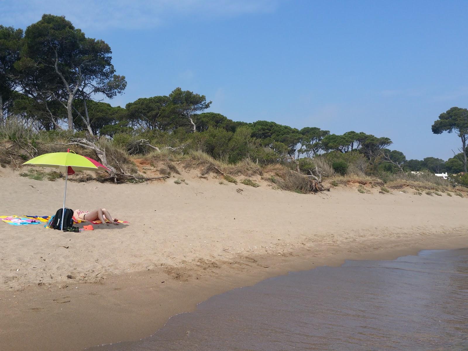 Sandee - Playa El Rec Del Moli