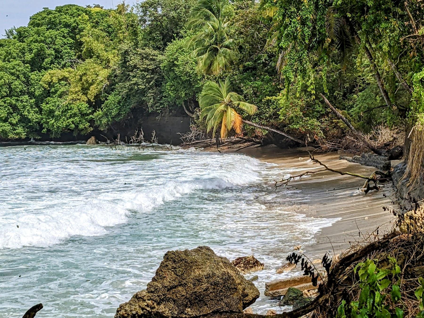 Sandee Mount Irvine Beach
