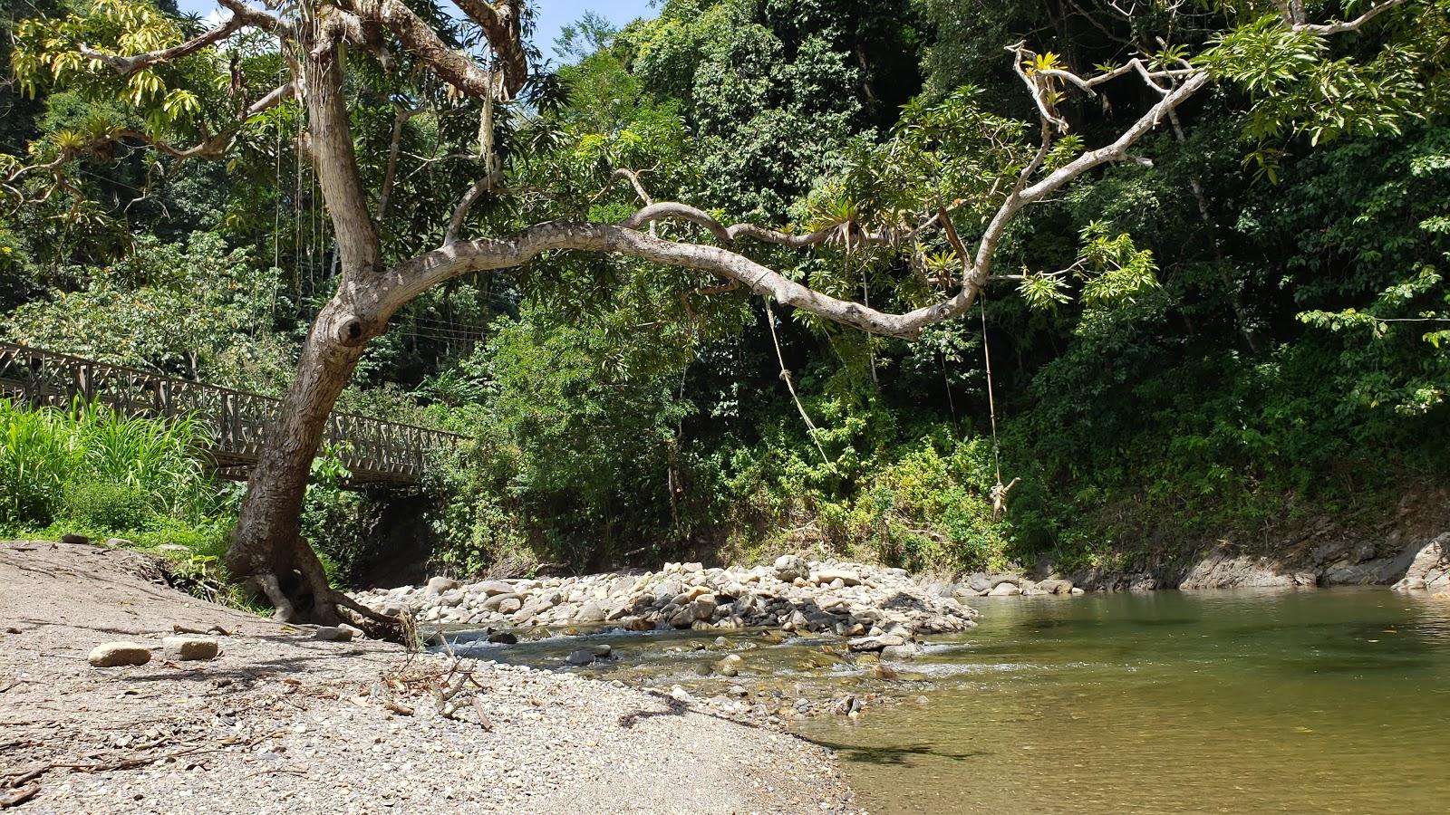 Sandee Shark River