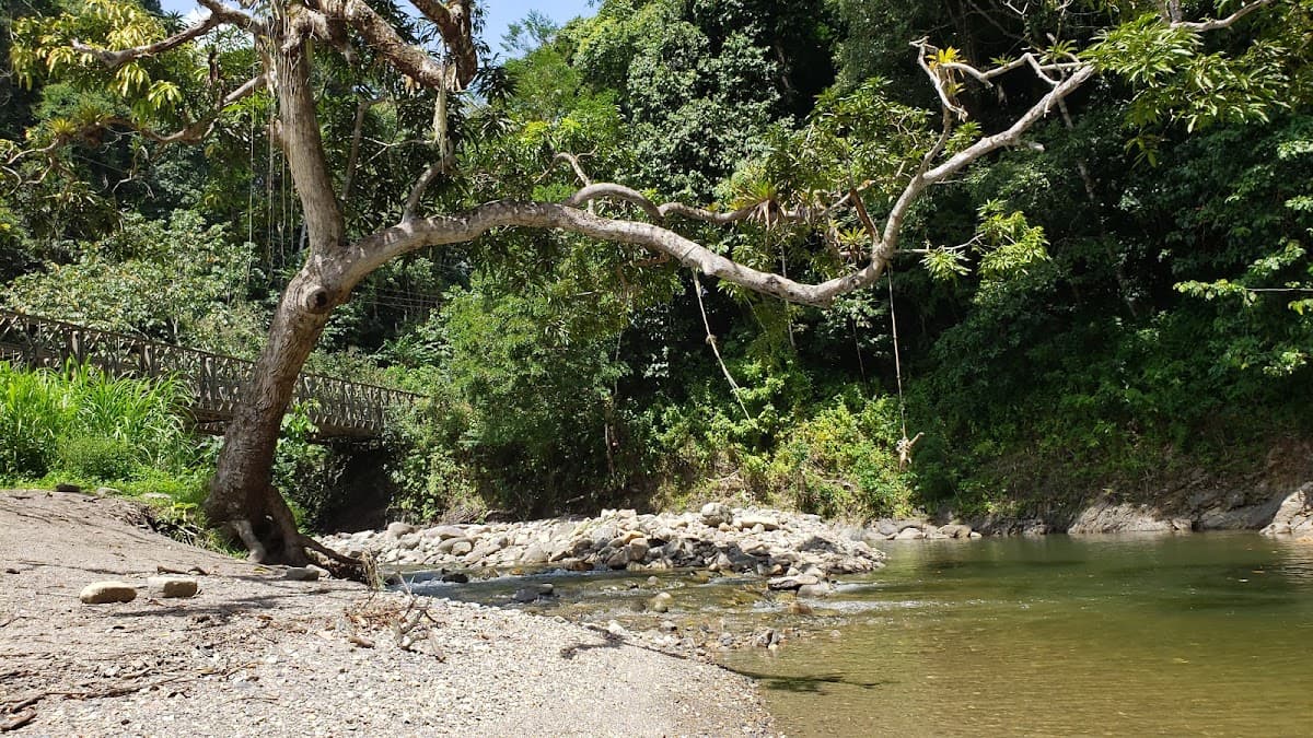 Sandee Shark River Photo