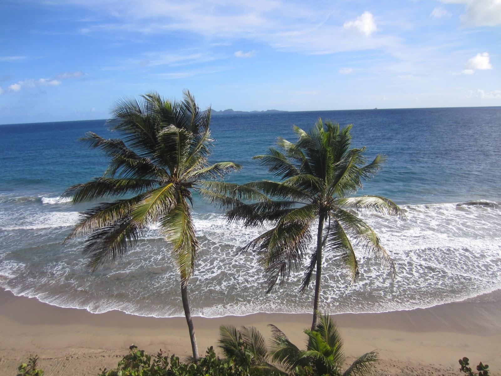 Sandee - Petite Anse Beach