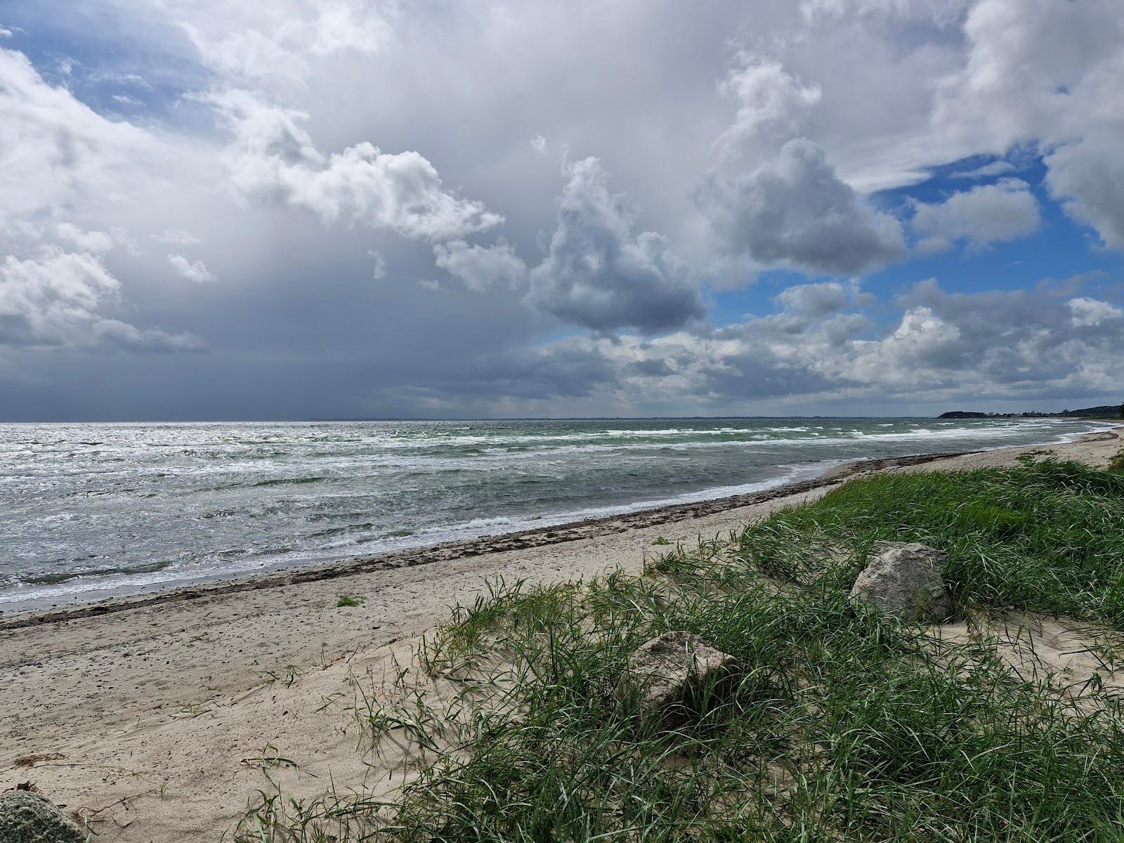 Sandee Saltofte Strand