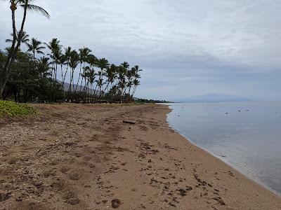 Sandee - One Alii Beach Park