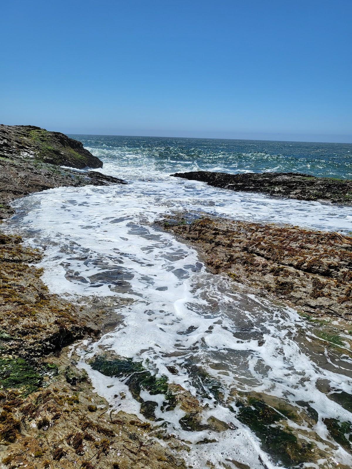 Sandee - Laguna Creek Beach