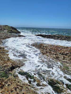 Sandee - Laguna Creek Beach