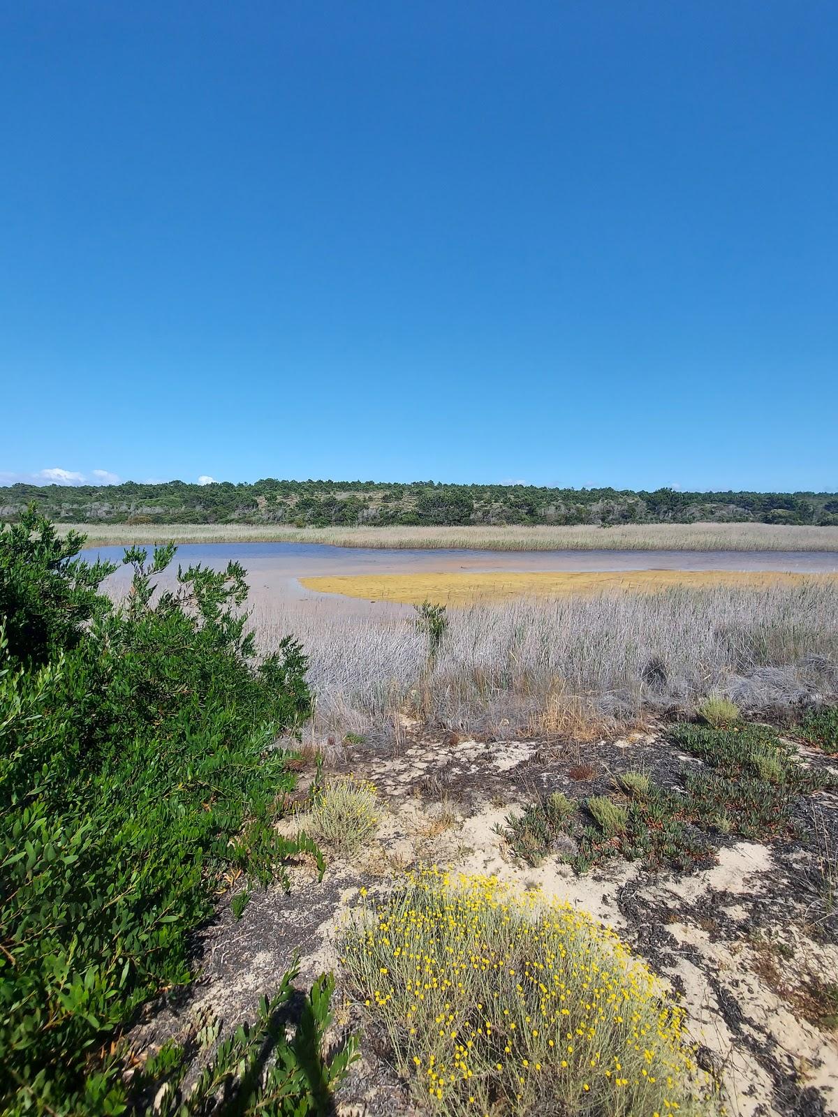 Sandee Praia Da Sancha