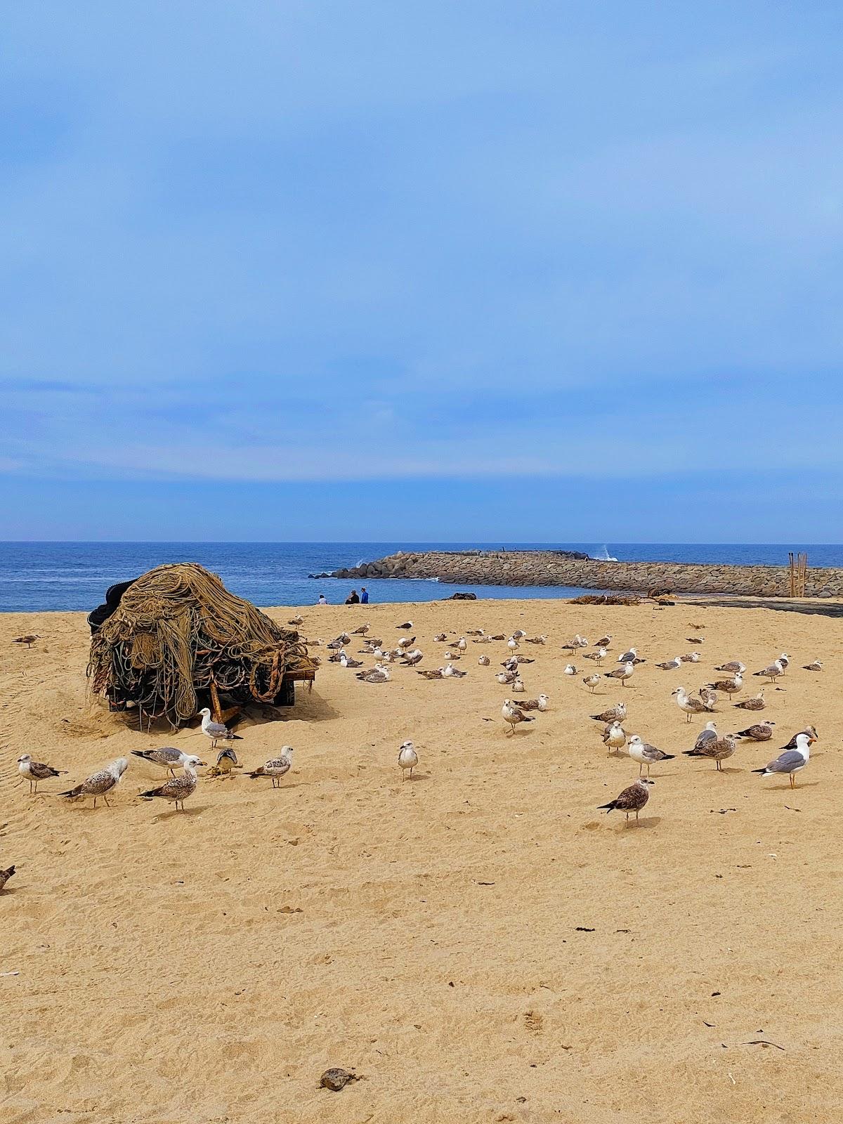 Sandee - Praia Do Bairro Piscatorio