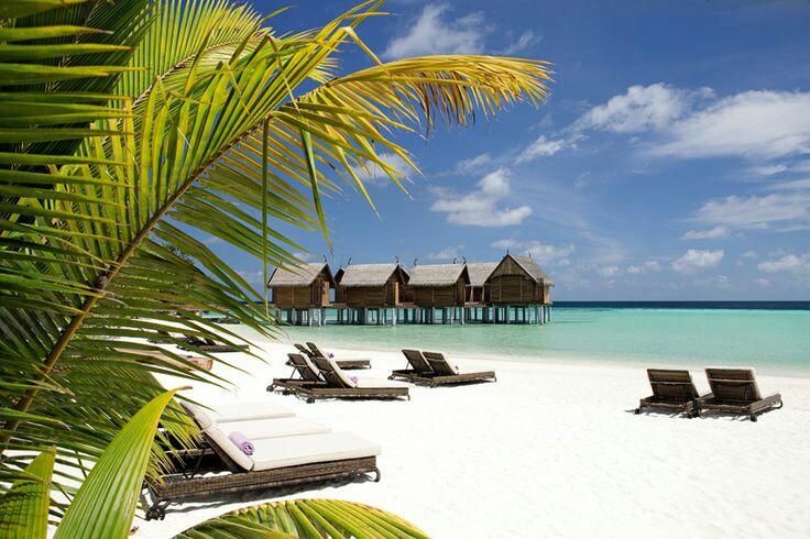 Sandee Moofushi Island Photo