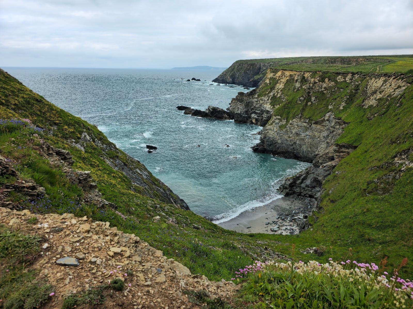 Sandee Mutton Cove Photo