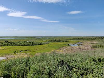 Sandee - North Brigantine State Natural Area