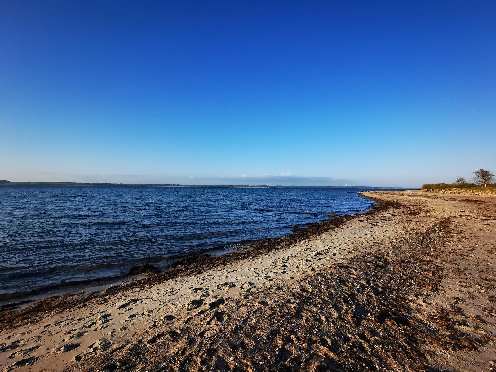 Sandee Karlsminde Hundestrand Photo