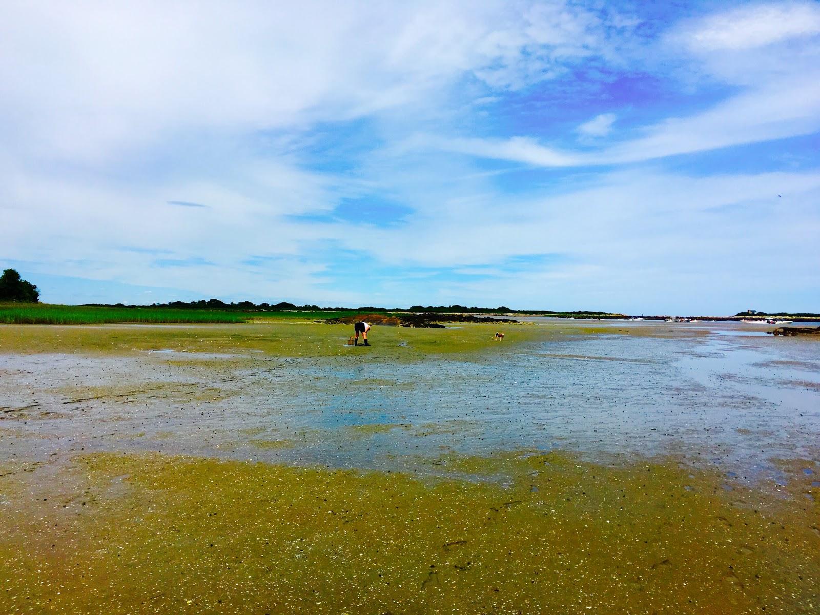 Sandee - Kennebunkport Conservation Trust (Redin Island)