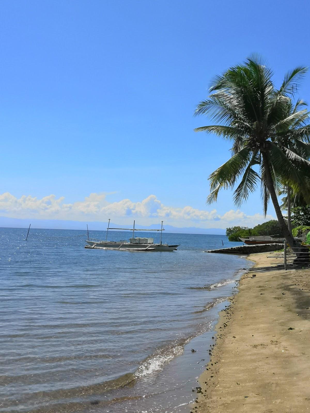 Sandee Eljoy Beach Photo