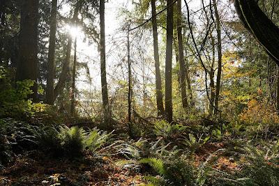 Sandee - South Whidbey State Park