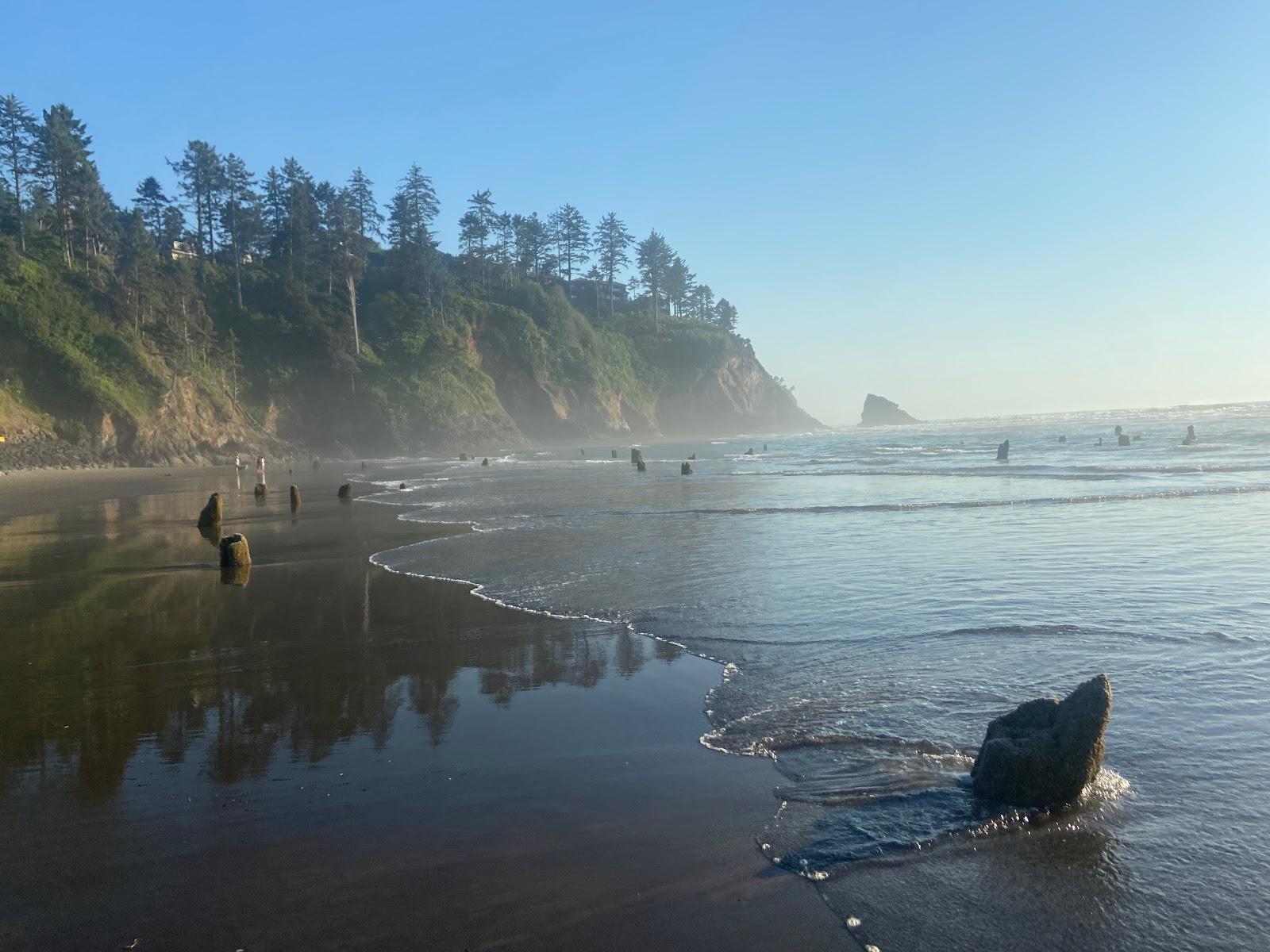 Sandee Neskowin Ghost Forest