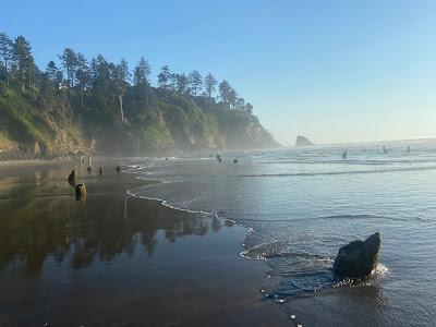 Sandee - Neskowin Ghost Forest