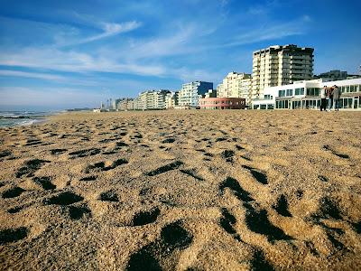 Sandee - Praia Do Leixao