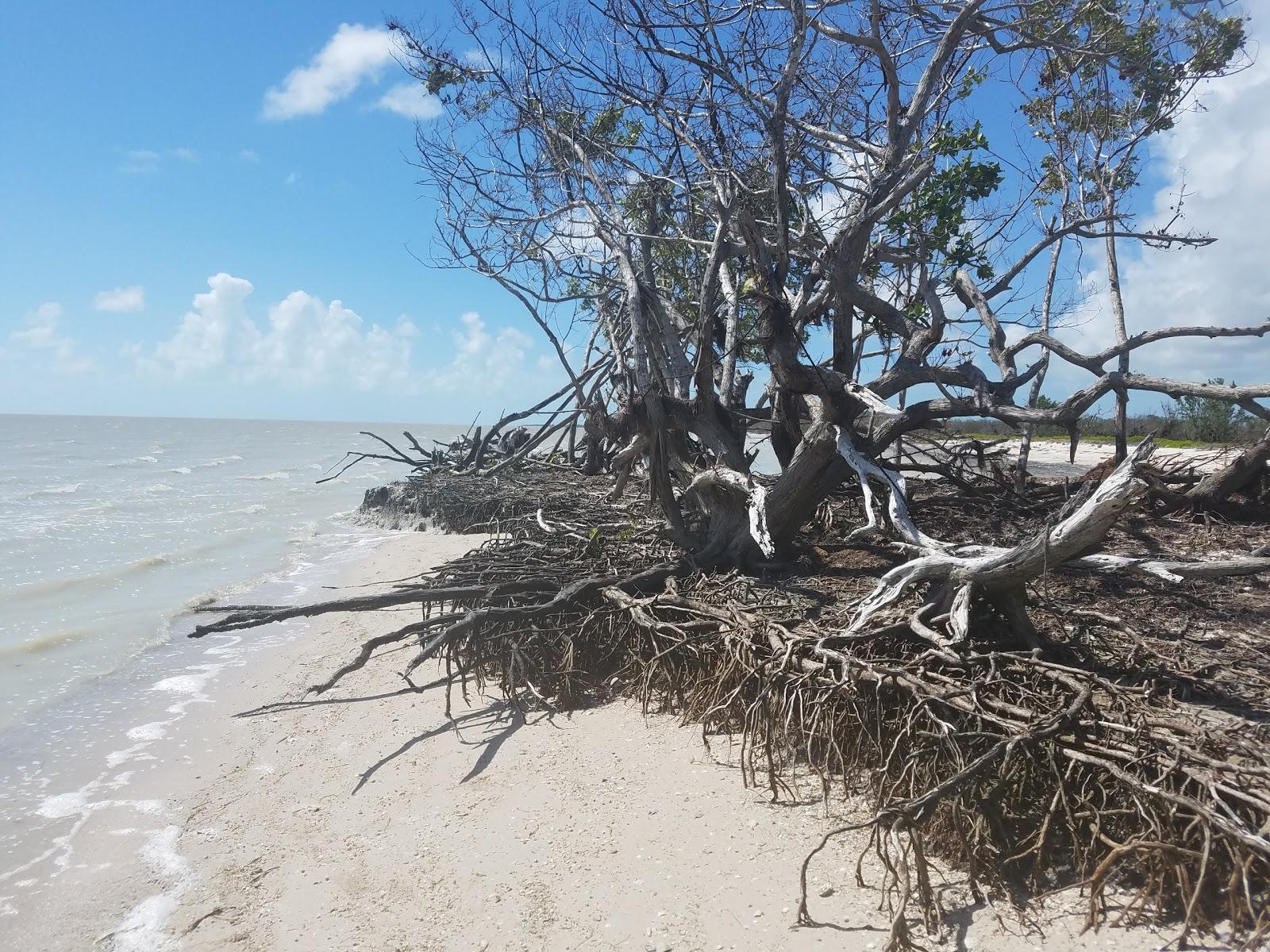 Sandee - Clubhouse Beach