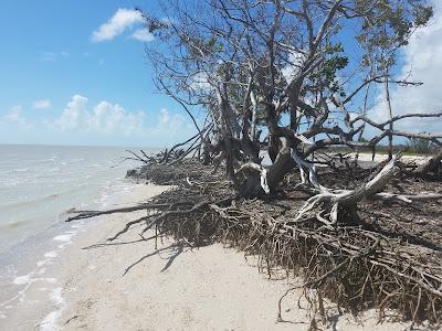 Sandee - Clubhouse Beach